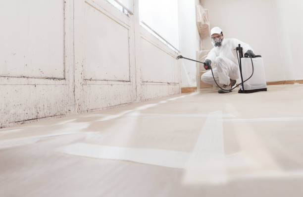 24/7 Emergency Mold Cleanup experts in Milton, WA